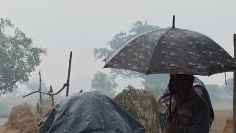 Weather Update: রাত পোহালেই বদলে যাচ্ছে হাওয়া! জারি কমলা-হলুদ সতর্কতা... জেনে নিন কোন দিন কোন জেলায় তুমুল দুর্যোগ