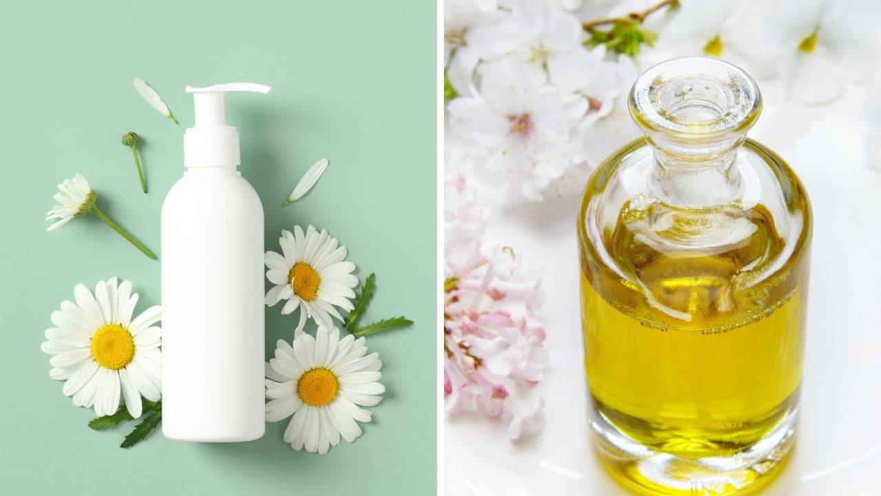 Winter Tips: বডি লোশন না বডি অয়েল, শীতে ঘরে ঘরে কে গোল দিচ্ছে কাকে?