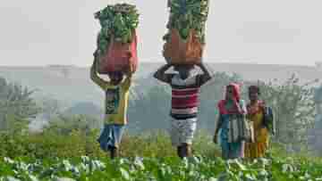 Centre Launches New Scheme: পেতে পারেন কোটি কোটি টাকা! কেন্দ্রের এই নয়া প্রকল্পের উপভোক্তা কারা?