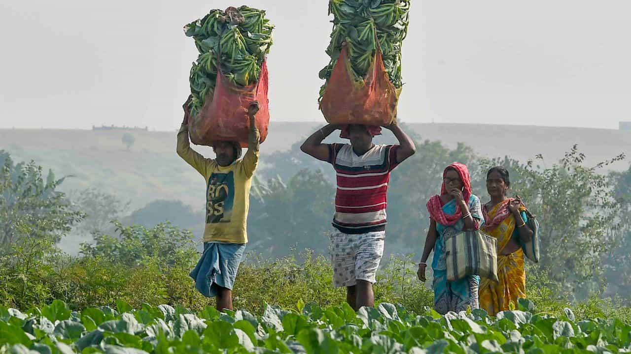 Centre Launches New Scheme: পেতে পারেন কোটি কোটি টাকা! কেন্দ্রের এই নয়া প্রকল্পের উপভোক্তা কারা? Centre Launches New Scheme: পেতে পারেন কোটি কোটি টাকা! কেন্দ্রের এই নয়া প্রকল্পের উপভোক্তা কারা?