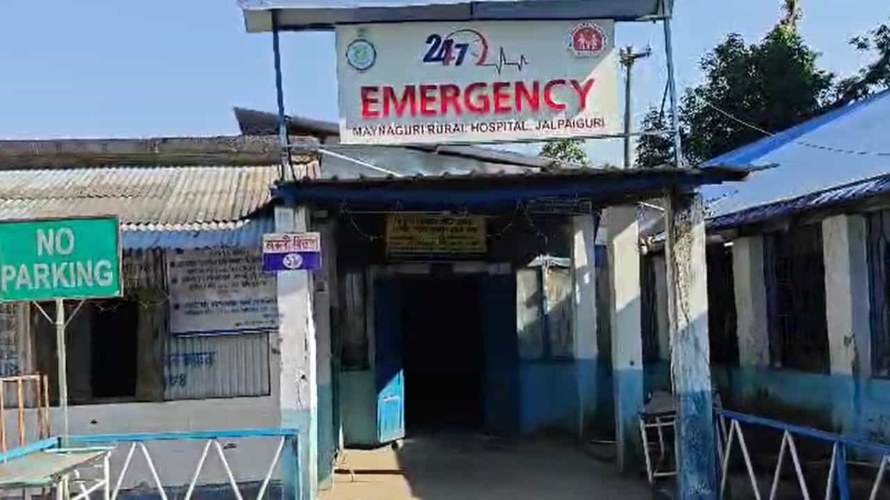 Jalpaiguri: পিক আপ ভ্যানের সঙ্গে ফুলকপি বোঝাই ট্রাকের সংঘর্ষ, মৃত ৩ Jalpaiguri: পিক আপ ভ্যানের সঙ্গে ফুলকপি বোঝাই ট্রাকের সংঘর্ষ, মৃত ৩