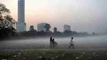 Winter Weather Update: কোমায় গিয়েও সাড়া দিচ্ছে শীত, সুখবর আবহাওয়া দফতরের