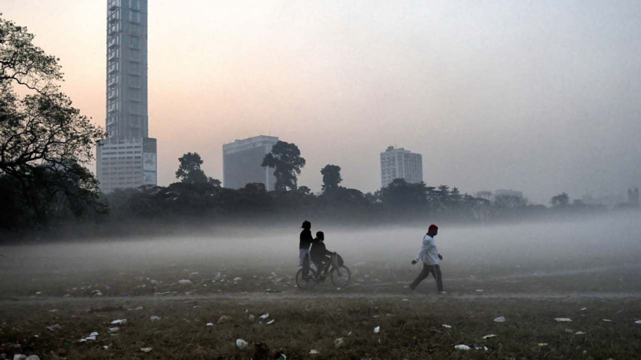 Winter Weather Update: কোমায় গিয়েও সাড়া দিচ্ছে শীত, সুখবর আবহাওয়া দফতরের