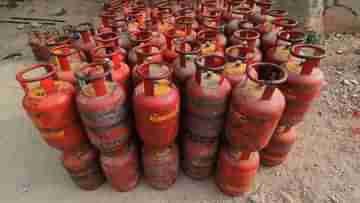 LPG Cylinder Price: ডিসেম্বরের প্রথম দিনেই বেড়ে গিয়েছে রান্নার গ্যাসের দাম, এবার কত খরচ পড়বে, জানেন তো?