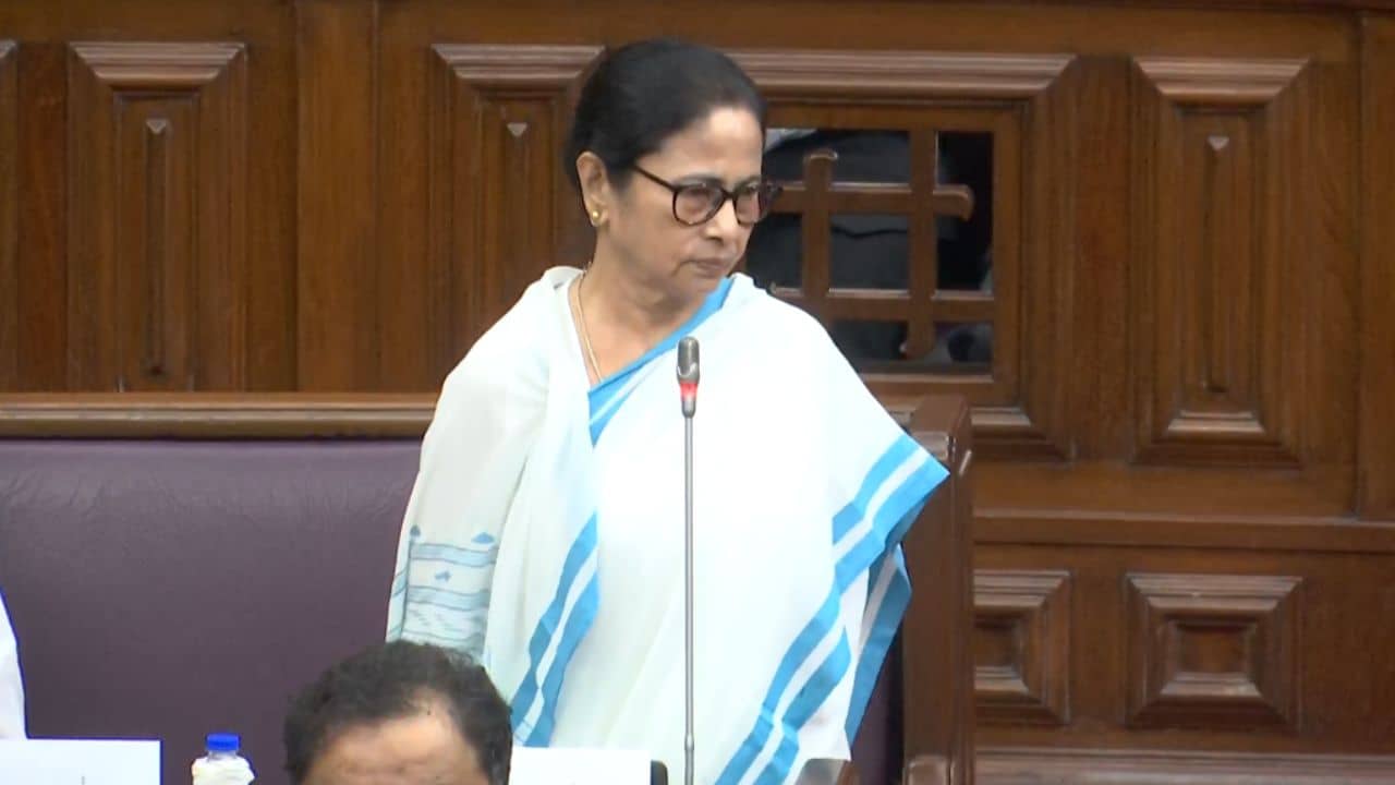 Mamata on Hindu: ‘ভারত সরকার হিন্দুদের রক্ষা করুক’, বলছেন মমতা, ‘CAA-র বিরোধিতা ভুল হয়েছে স্বীকার করুন’, খোঁচা বিজেপির