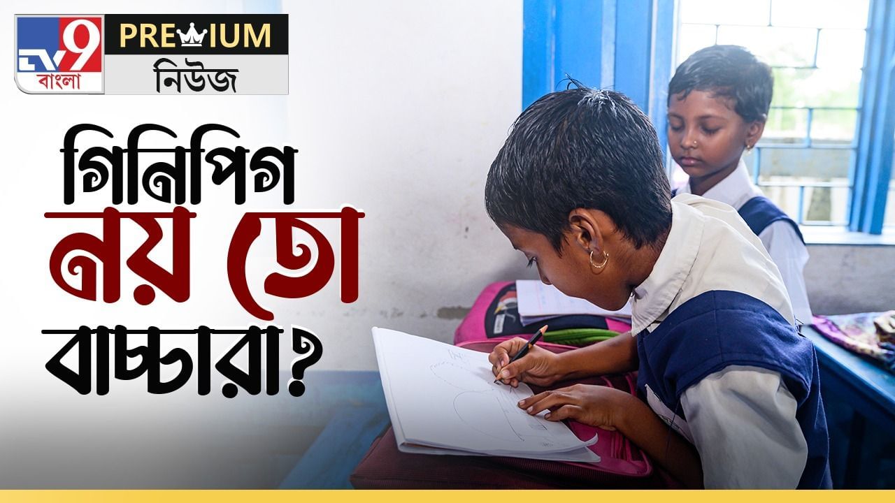 Primary: কীভাবে হবে প্রাথমিকে সেমিস্টার? পাশ-ফেল থাকবে? রইল সব উত্তর