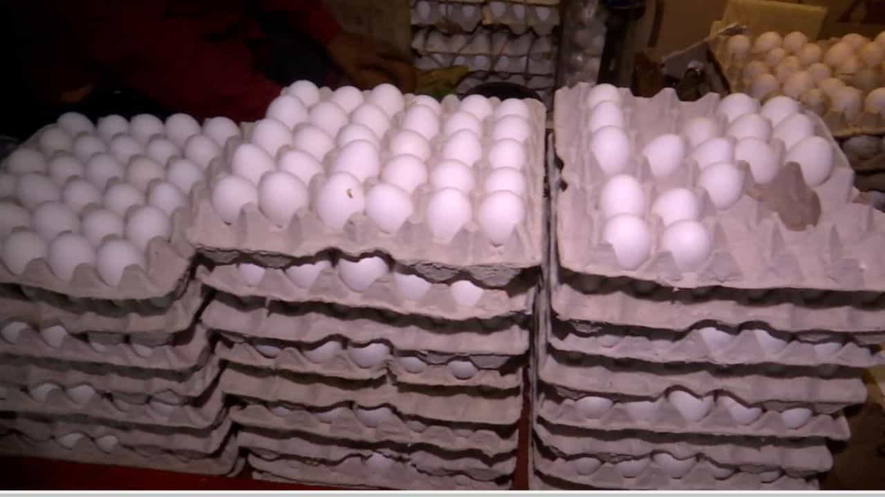 Egg Price: ১৪-১৫ টাকাতেও বিক্রি হচ্ছে ডিম, মাথায় হাত মধ্যবিত্তের, শীতের শুরুতেই কেন এমন ধাক্কা! Egg Price: ১৪-১৫ টাকাতেও বিক্রি হচ্ছে ডিম, মাথায় হাত মধ্যবিত্তের, শীতের শুরুতেই কেন এমন ধাক্কা!