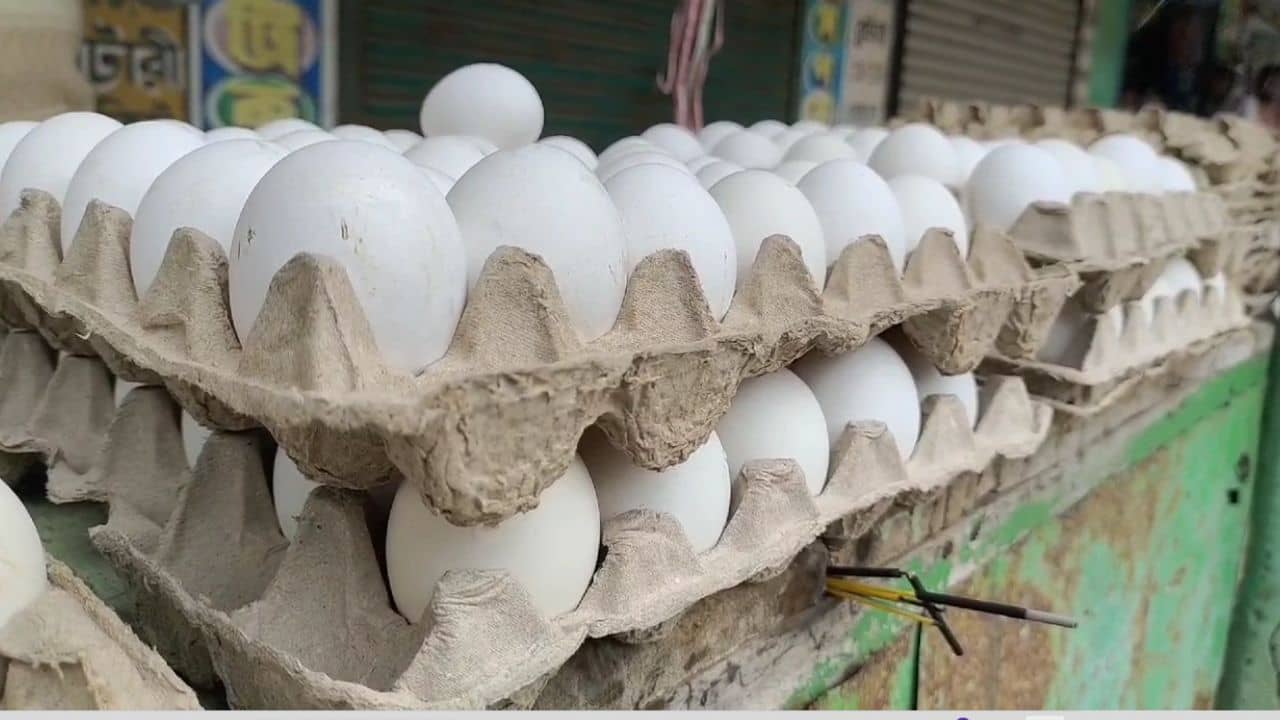 Egg Price: শীতের সকালে ওমলেট খেতে গেলেও দুবার ভাবতে হবে, এত বাড়ল দাম!