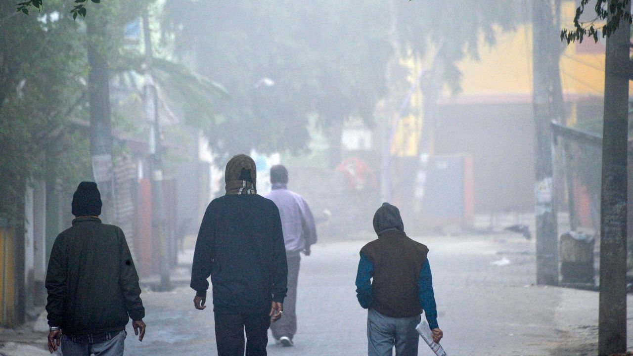 Weather Update: রবিবার ছিল শীতলতম দিন, বড়দিনে আরও 'বড়' খেল দেখতে চলেছে বঙ্গবাসী