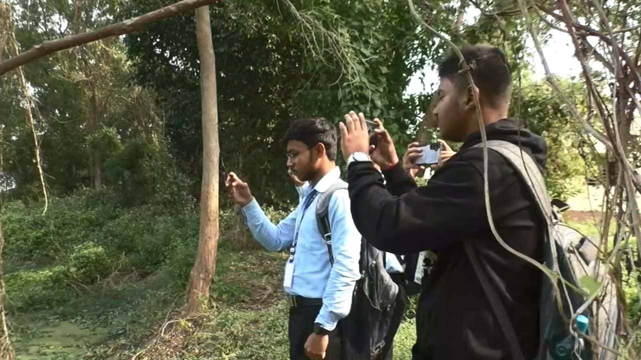 Migratory Birds: আর আসছে না ওরা, দূষণই দোষী?