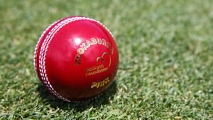 Pink Ball Test: কোন দেশ কত ডে-নাইট টেস্ট; ভারত, অস্ট্রেলিয়ার পরিসংখ্যান কী বলছে?