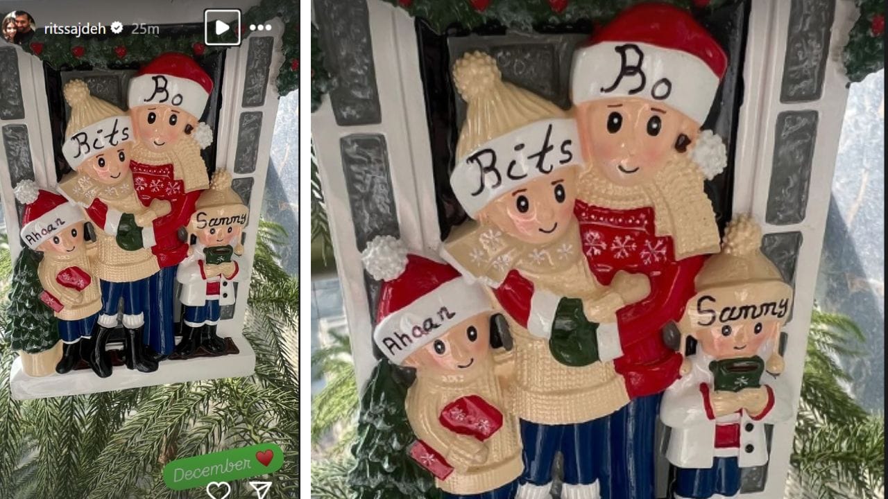 Ritika's insta story