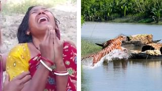 Sundarban: দুই বন্ধুর বাইকের সামনে হাজির রয়্যাল বেঙ্গল, তারপরই ‘অদ্ভুত’ ঘটনা…