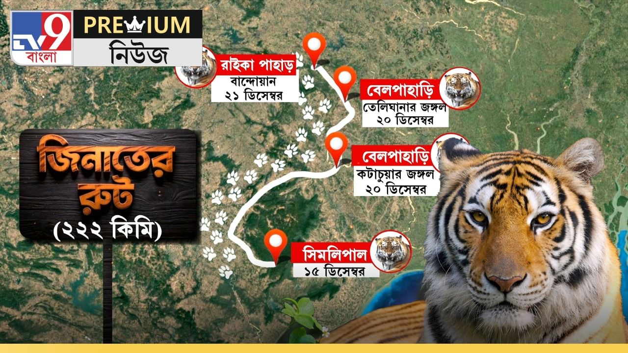 Tigress Zeenat Adventure: প্রেমে চোট না প্রেমের খোঁজ! কেন হেঁটে চলেছে 'সদ্য যুবতী' জিনাত? জানুন