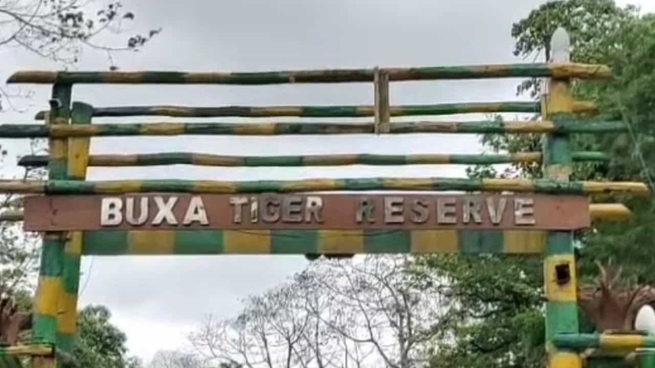 ভরা মরশুমে বক্সায় বন্ধ হোম-স্টে, মাথায় হাত ব্যবসায়ীদের ভরা মরশুমে বক্সায় বন্ধ হোম-স্টে, মাথায় হাত ব্যবসায়ীদের