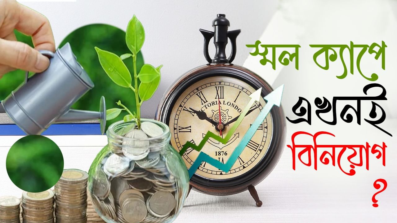 Investment in Small Cap Mutual Funds: স্মল ক্যাপ স্টক বা মিউচুয়াল ফান্ডে বিনিয়োগ করা এখন কি আদৌ ঠিক? কী বলছেন বিশেষজ্ঞরা