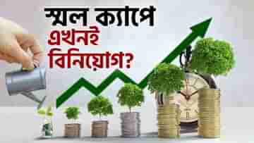 Investment in Small Cap Mutual Funds: স্মল ক্যাপ স্টক বা মিউচুয়াল ফান্ডে বিনিয়োগ করা এখন কি আদৌ ঠিক? কী বলছেন বিশেষজ্ঞরা