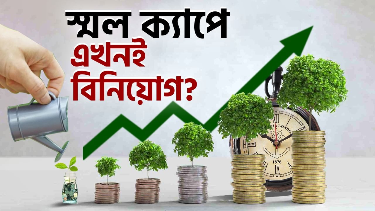 Investment in Small Cap Mutual Funds: স্মল ক্যাপ স্টক বা মিউচুয়াল ফান্ডে বিনিয়োগ করা এখন কি আদৌ ঠিক? কী বলছেন বিশেষজ্ঞরা