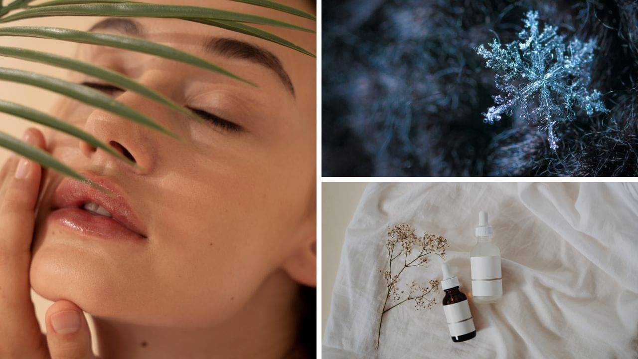 Winter Skincare Tips: শীতকালে চনমনে ত্বক পেতে চান? রইল ৯ অতি সহজ উপায়