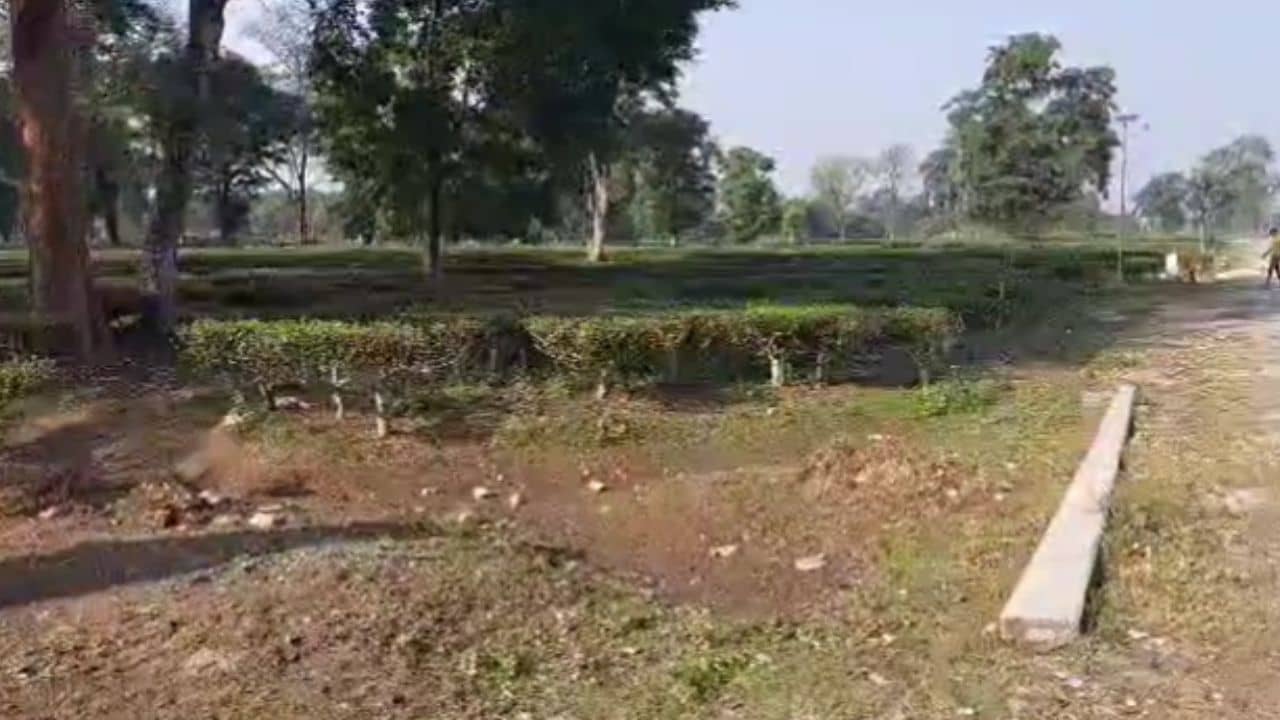 Alipurduar: শীতের মরশুমে পাহাড় থেকে এল দুঃখের খবর