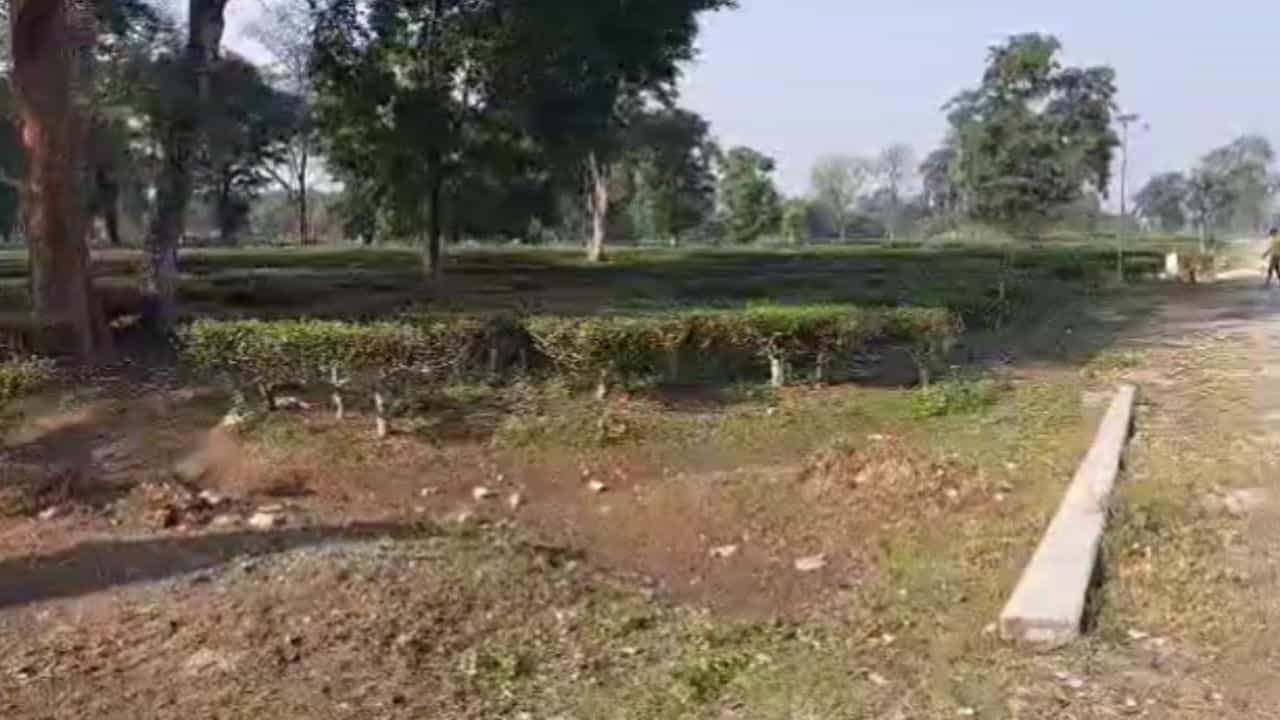 Alipurduar: শীতের মরশুমে পাহাড় থেকে এল দুঃখের খবর Alipurduar: শীতের মরশুমে পাহাড় থেকে এল দুঃখের খবর