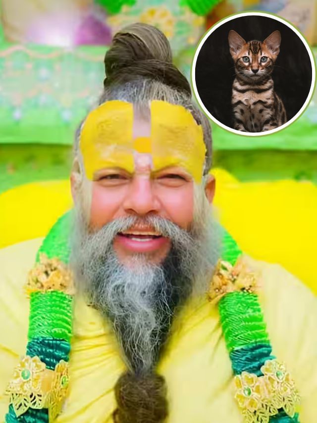 বিড়াল রাস্তা কাটলে কি অমঙ্গল হয়? প্রেমানন্দ মহারাজ বললেন... বিড়াল রাস্তা কাটলে কি অমঙ্গল হয়? প্রেমানন্দ মহারাজ বললেন...