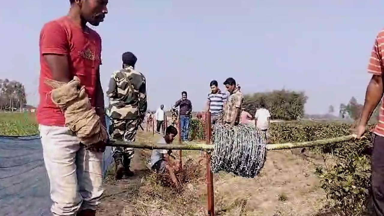 ফের সীমান্তে মুখোমুখি BSF-বাংলাদেশি সেনা, হাতাহাতি লাগার আগেই BGB-র খেলা শেষ করে দিল গ্রামবাসীরাই