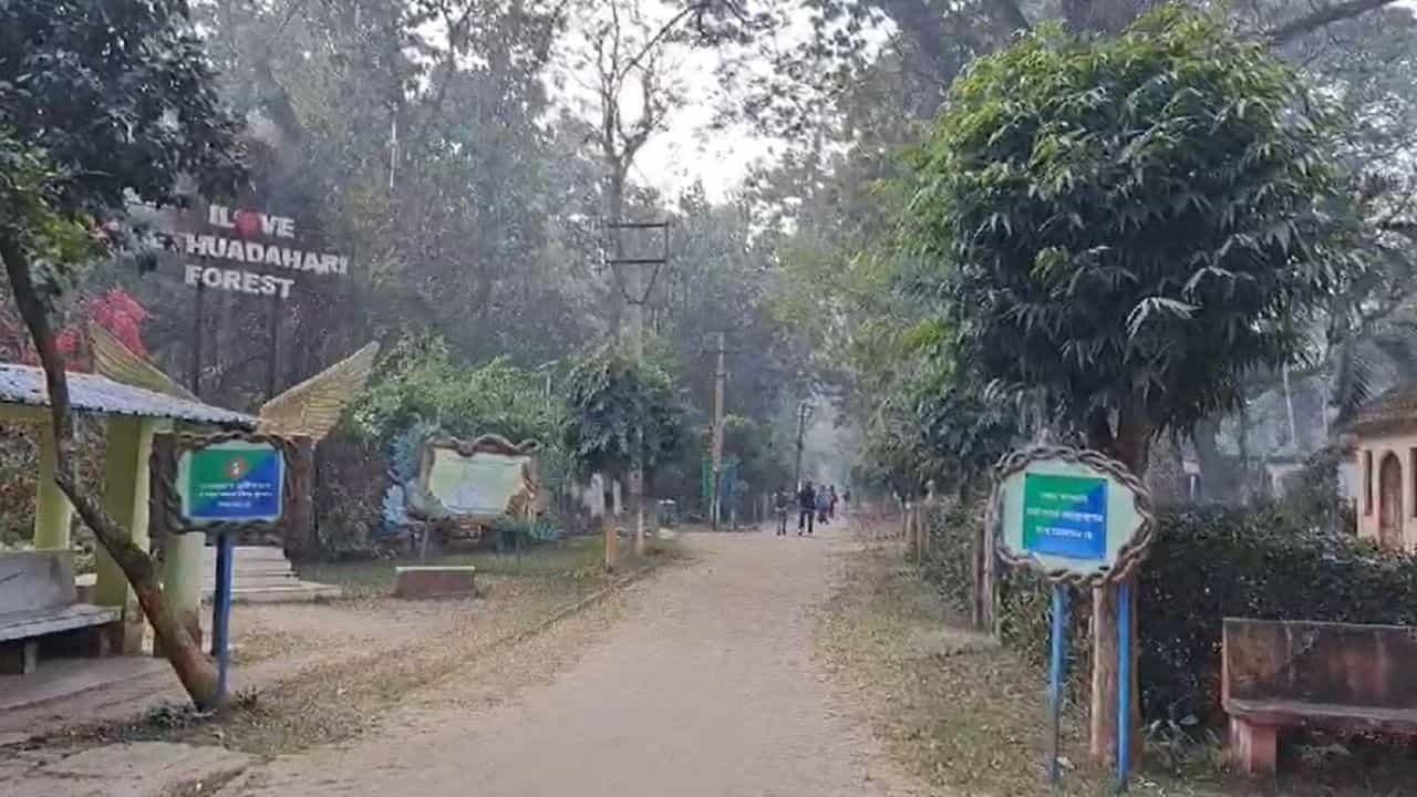 Nadia: পর্যটকদের জন্য সুখবর, মুখ্যমন্ত্রীর অসন্তোষের পরই সব অভয়ারণ্যে প্রবেশমূল্য প্রত্যাহার Nadia: পর্যটকদের জন্য সুখবর, মুখ্যমন্ত্রীর অসন্তোষের পরই সব অভয়ারণ্যে প্রবেশমূল্য প্রত্যাহার