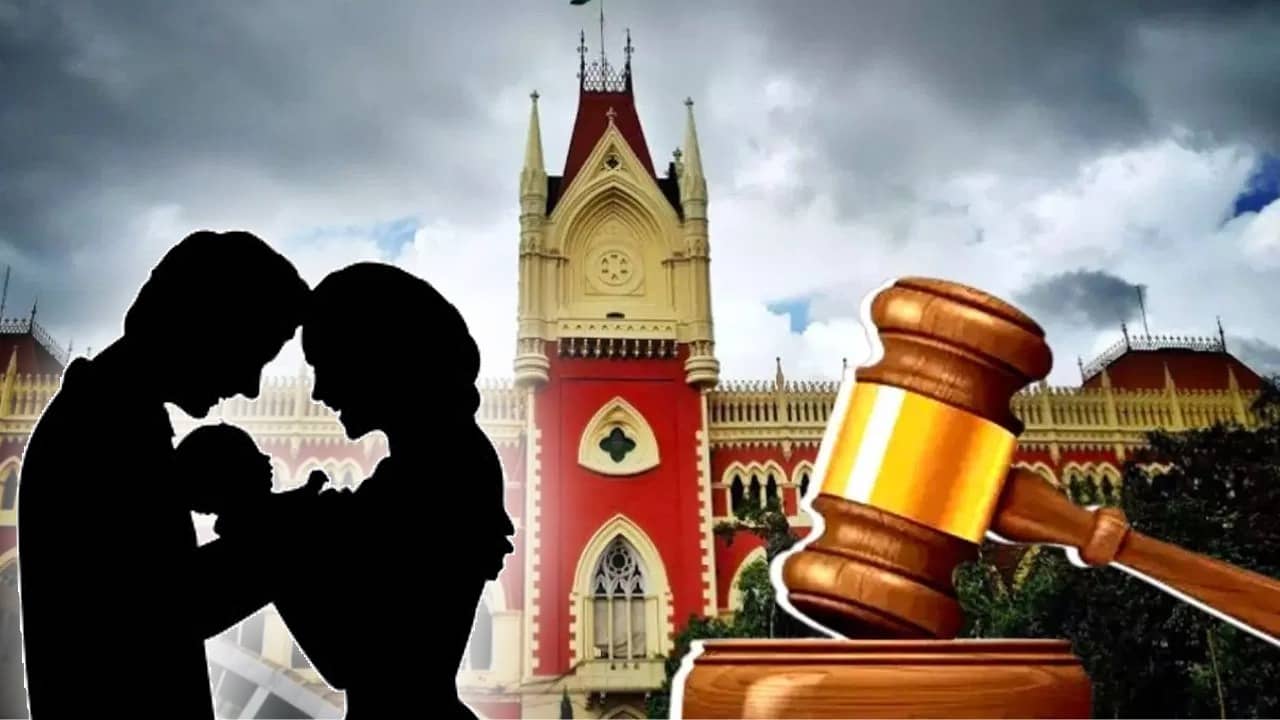 Child Death:  টাকা দিলেই কী সব মেটে..., স্ত্রীর একটা সইয়ে বদলে যায় স্বামীর শুক্রাণু, এই মামলায় বিস্মিত আদালতও