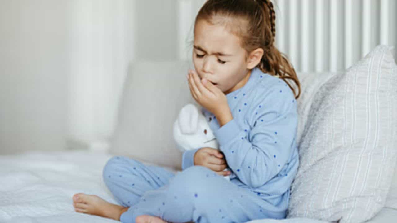 Health Tips: এই দুই ফল করবে কামাল, চরম শীতেও ছুঁতে পারবে না সর্দি-কাশি Health Tips: এই দুই ফল করবে কামাল, চরম শীতেও ছুঁতে পারবে না সর্দি-কাশি