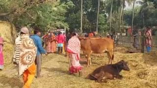 Bardhaman: স্ত্রীর লাশের উপর বিছানা বিছিয়ে দুই মেয়েকে নিয়ে ঘুমোলেন স্বামী! এরপর শাশুড়ি যা করলেন তা আরও মারাত্মক