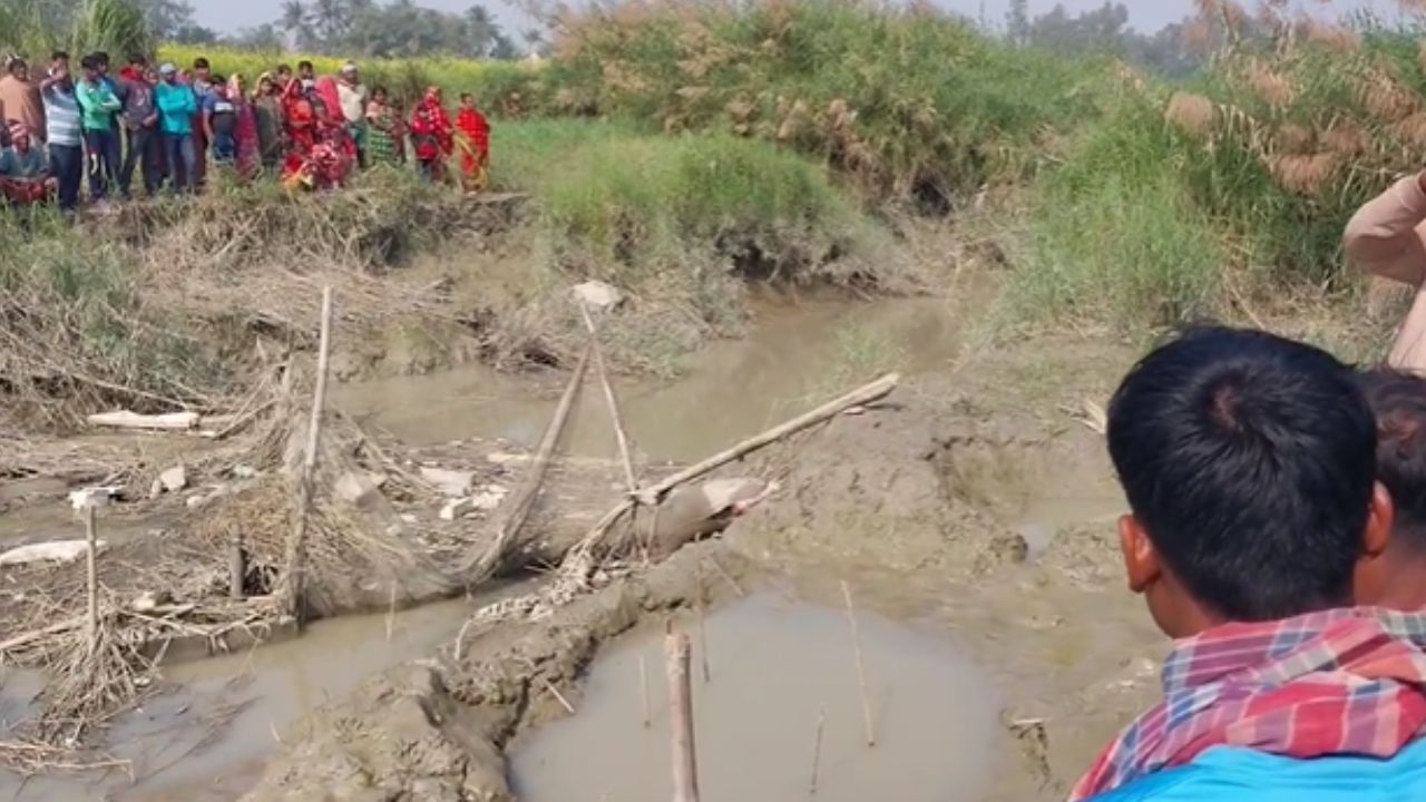 Deadbody Recover: বস্তার ভিতর কী? কাছে যেতেই চমকে গেলেন লোকজন