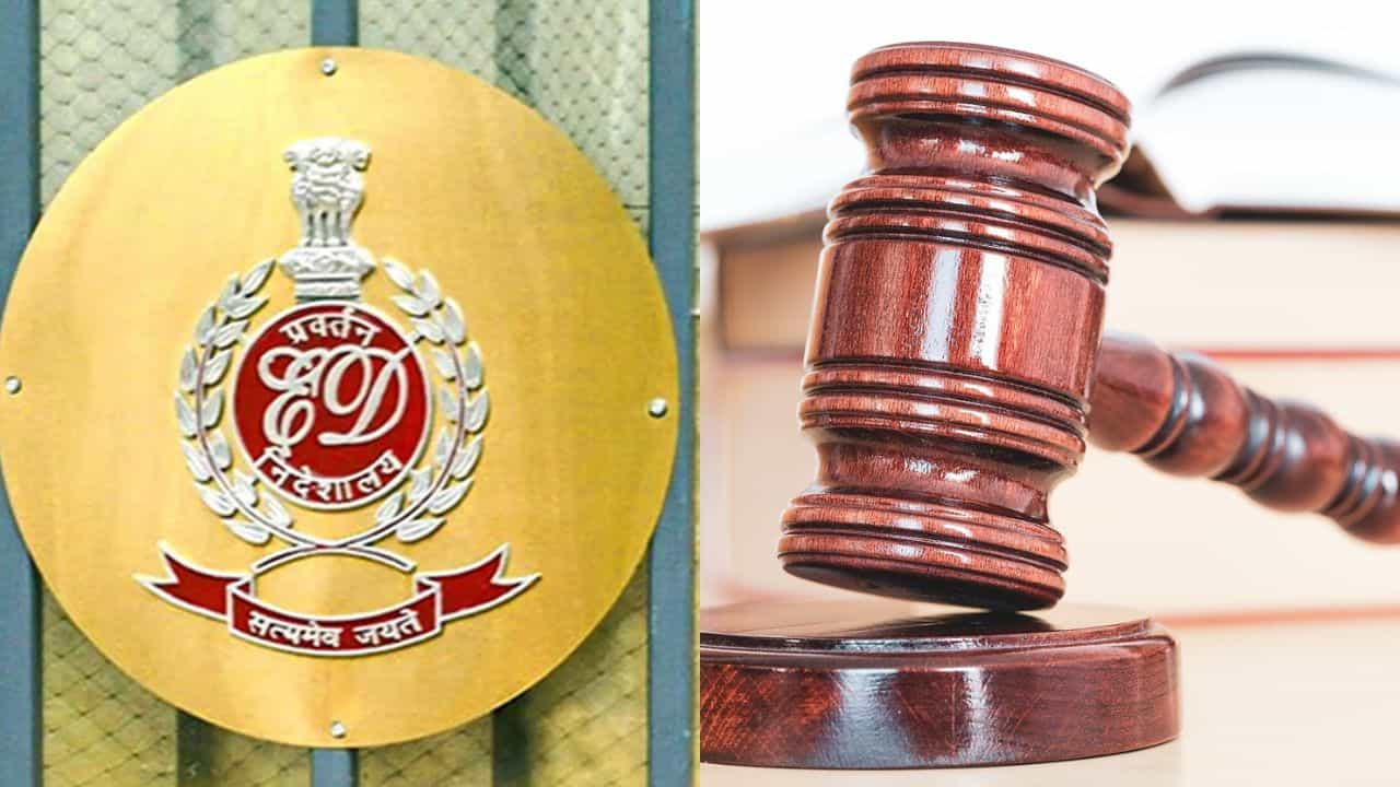 'সাধারণ মানুষকে হেনস্থা করতে পারেন না', ED-কেই লাখ টাকা জরিমানা হাইকোর্টের 'সাধারণ মানুষকে হেনস্থা করতে পারেন না', ED-কেই লাখ টাকা জরিমানা হাইকোর্টের