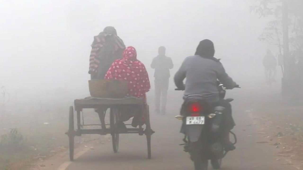 Winter Weather Update: কুয়াশার আড়ালেই ঘুরছে খেলা! কয়েক ঘণ্টার মধ্যে আবহাওয়ার বড় পরিবর্তন