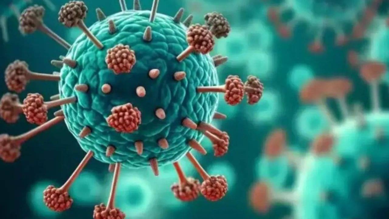HMPV Break Out: চিনের প্রাচীর টপকে কী ভাবে ছড়িয়ে পড়ল হিউম্যান মেটানিউমো ভাইরাস?