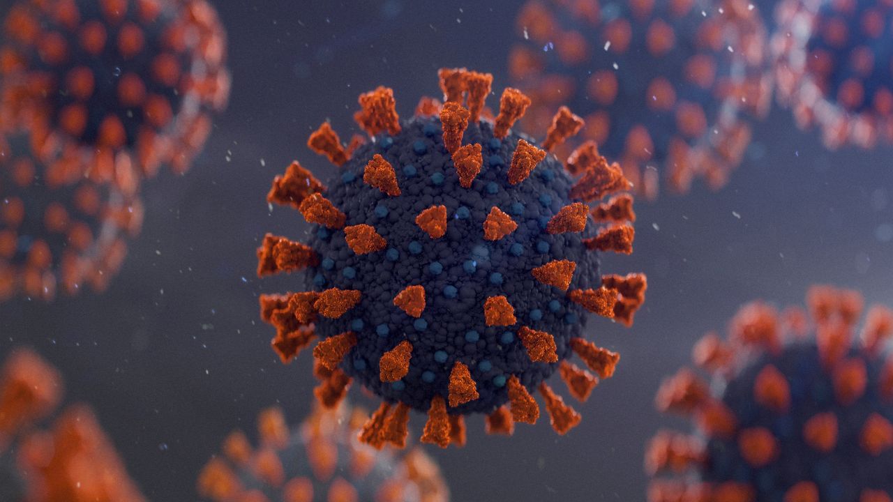 HMPV Virus: মহারাষ্ট্রেও ঢুকে পড়ল HMPV, একদিনে আক্রান্ত দুই শিশু