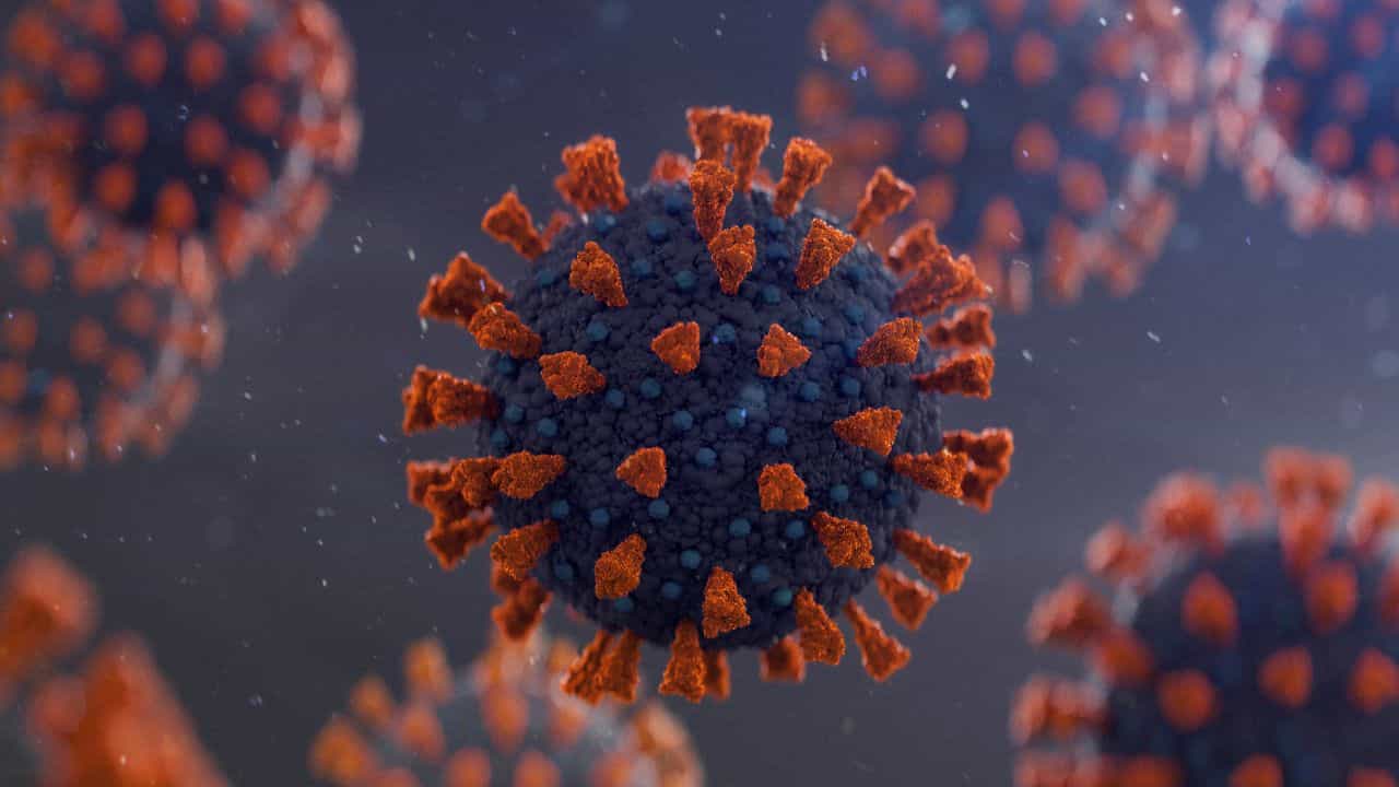 HMPV Virus: মহারাষ্ট্রেও ঢুকে পড়ল HMPV, একদিনে আক্রান্ত দুই শিশু HMPV Virus: মহারাষ্ট্রেও ঢুকে পড়ল HMPV, একদিনে আক্রান্ত দুই শিশু