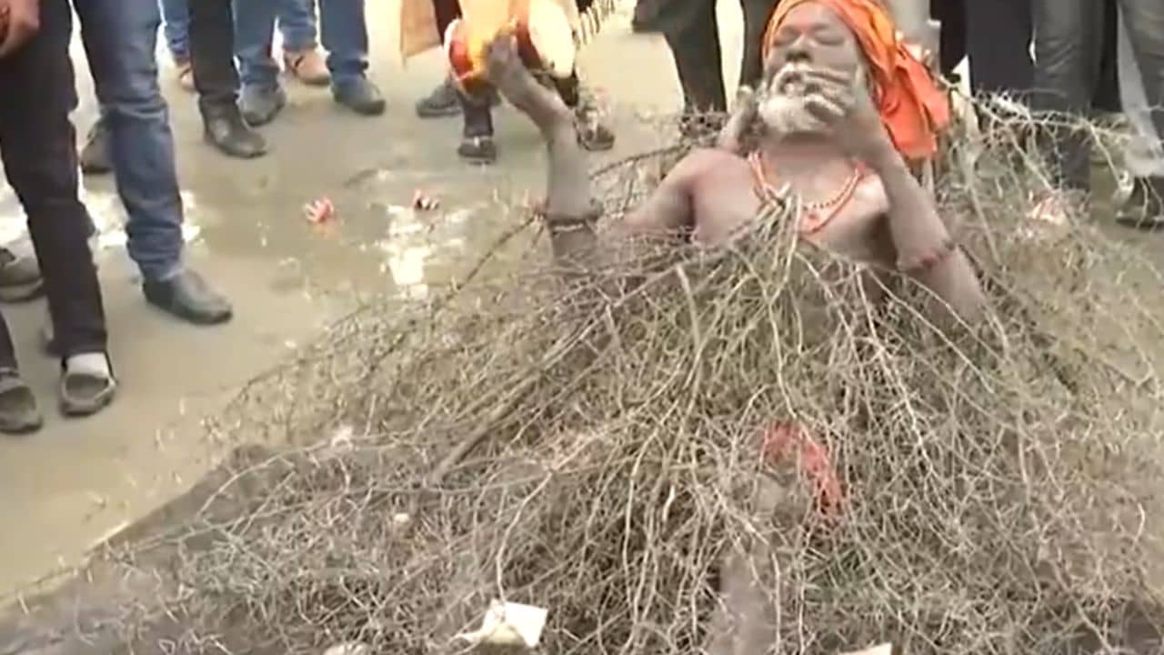Maha Kumbh Mela 2025: কাঁটা দিয়ে ঢাকা শরীর! মহাকুম্ভে এসে এ যুগের ভীষ্মের তকমা পেলেন এই সাধু