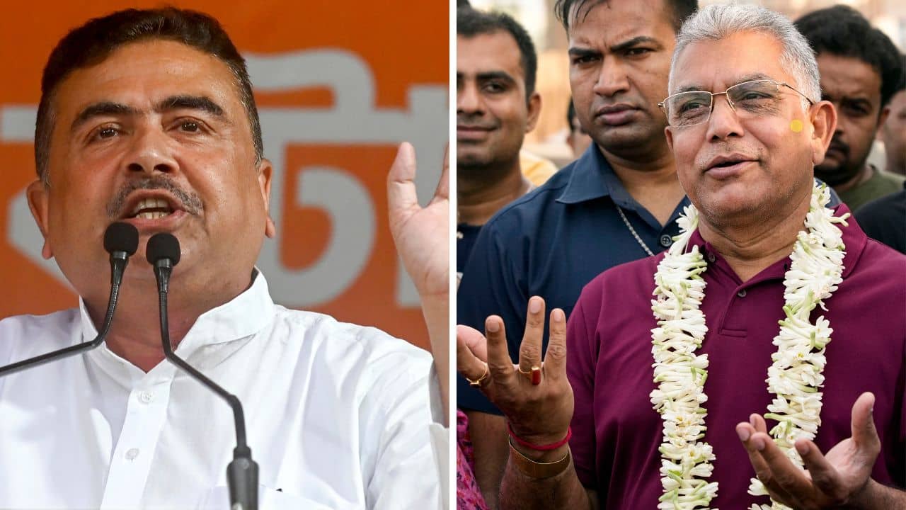 Dilip Ghosh: পিসির গোঁফ বেরোক, তারপর দেখব পিসা বলব কি না, শুভেন্দুর কথা শুনে বললেন দিলীপ ঘোষ