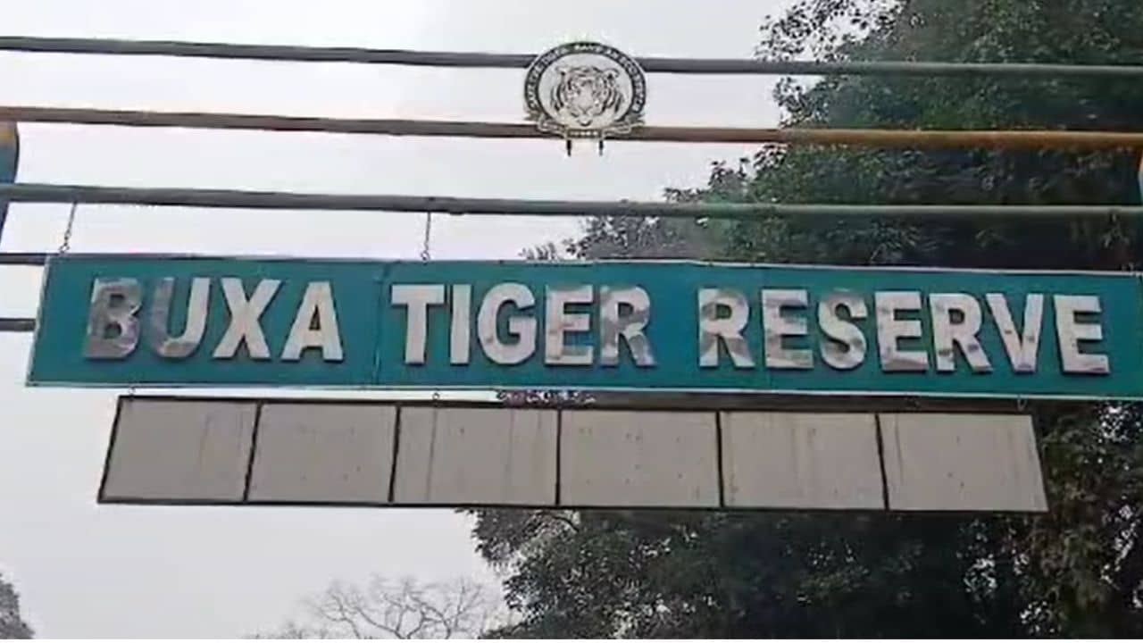 মমতার নির্দেশের পর উঠে গেল ৪৮০ টাকা ফি, পর্যটকদের জঙ্গলে ঢুকতে আর কোনও বাধা নেই