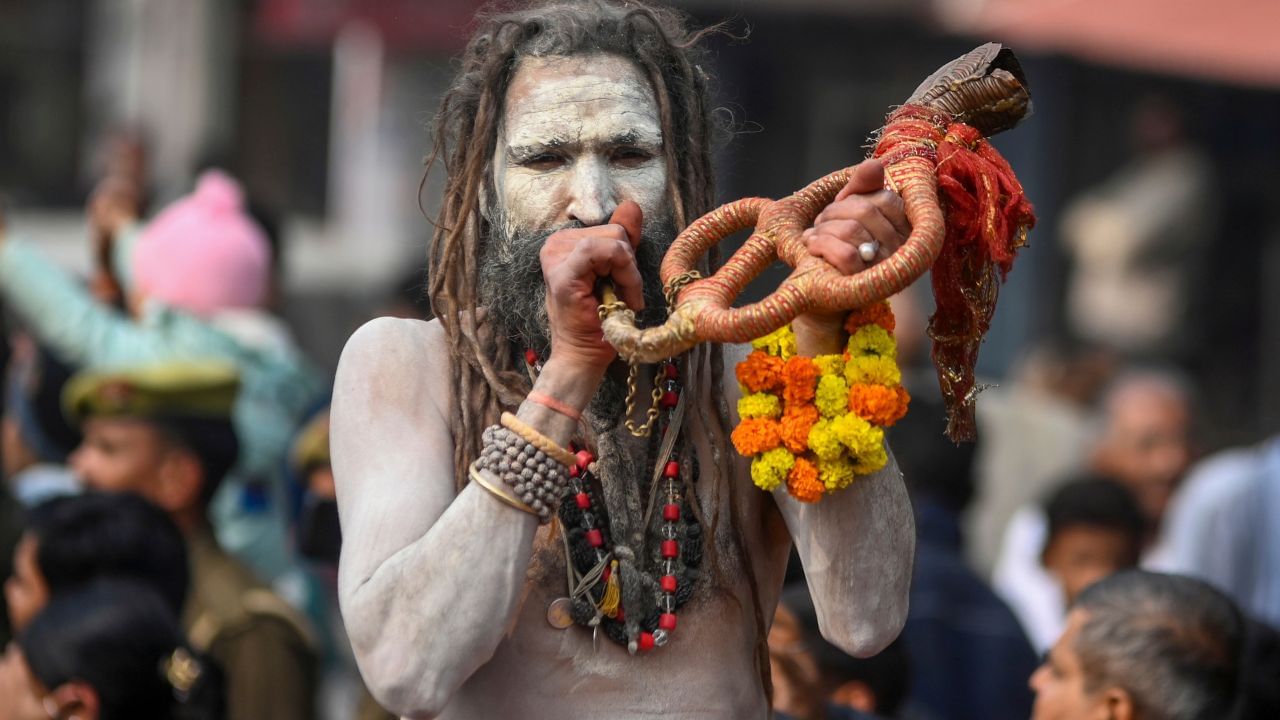 কমবেশি সকলের কাছেই নাগা সাধুরা পরিচিত। তাদের জীবন নিয়ে আগ্রহের শেষ নেই। কীভাবে একজন নাগা সন্ন্যাসী হন, কী কী করতে হয় তাদের, কেমন জীবনযাপন-সব নিয়েই কৌতুহল রয়েছে।