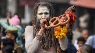 Maha Kumbh: মহাকুম্ভে ঝড় তুলেছেন ৩০-এর সাধ্বী, কে এই হর্ষা রিচারিয়া?