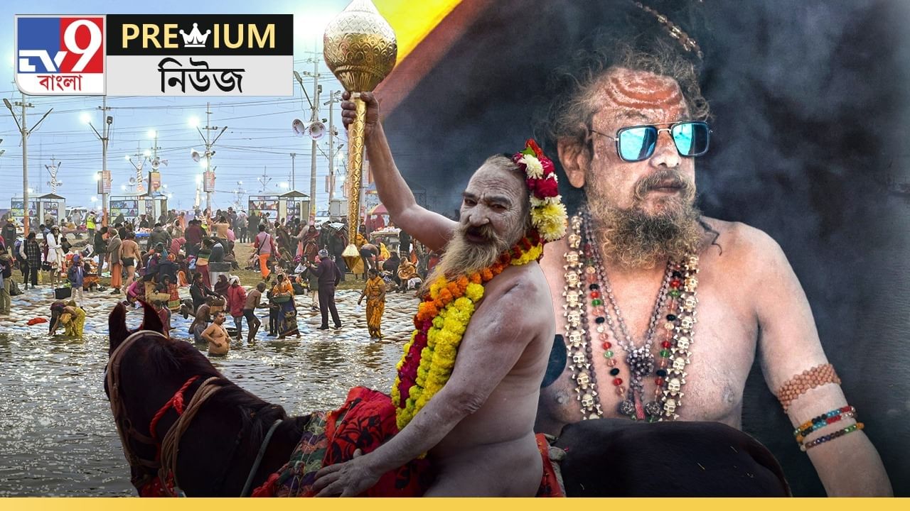 In Depth Story on Naga Sadhu: মাথায় জটা, গায়ে একটা সুতোও থাকে না! কারা হতে পারেন নাগা সন্ন্যাসী?