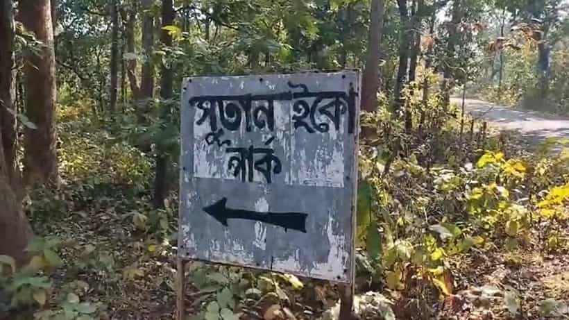 Tiger in Bankura: ভোরের শুনশান রাস্তায় আচমকা তার দেখা! মিলল পায়ের ছাপ, বারো মাইল জঙ্গলে বাড়ছে আতঙ্ক