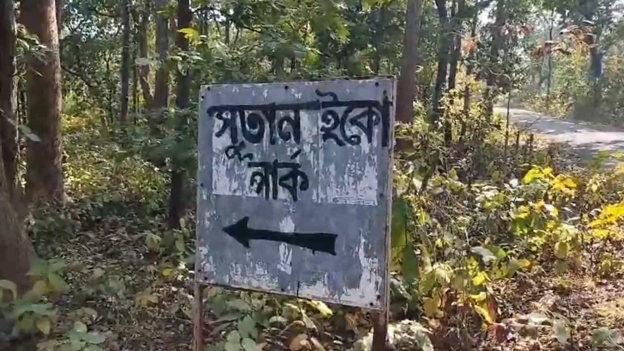 Tiger in Bankura: ভোরের শুনশান রাস্তায় আচমকা তার দেখা! মিলল পায়ের ছাপ, বারো মাইল জঙ্গলে বাড়ছে আতঙ্ক Tiger in Bankura: ভোরের শুনশান রাস্তায় আচমকা তার দেখা! মিলল পায়ের ছাপ, বারো মাইল জঙ্গলে বাড়ছে আতঙ্ক
