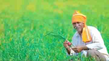 PM kisan yojana: পিএম কিষাণ যোজনার লাভ কি স্বামী-স্ত্রী একসঙ্গে পেতে পারেন? জানুন নিয়ম