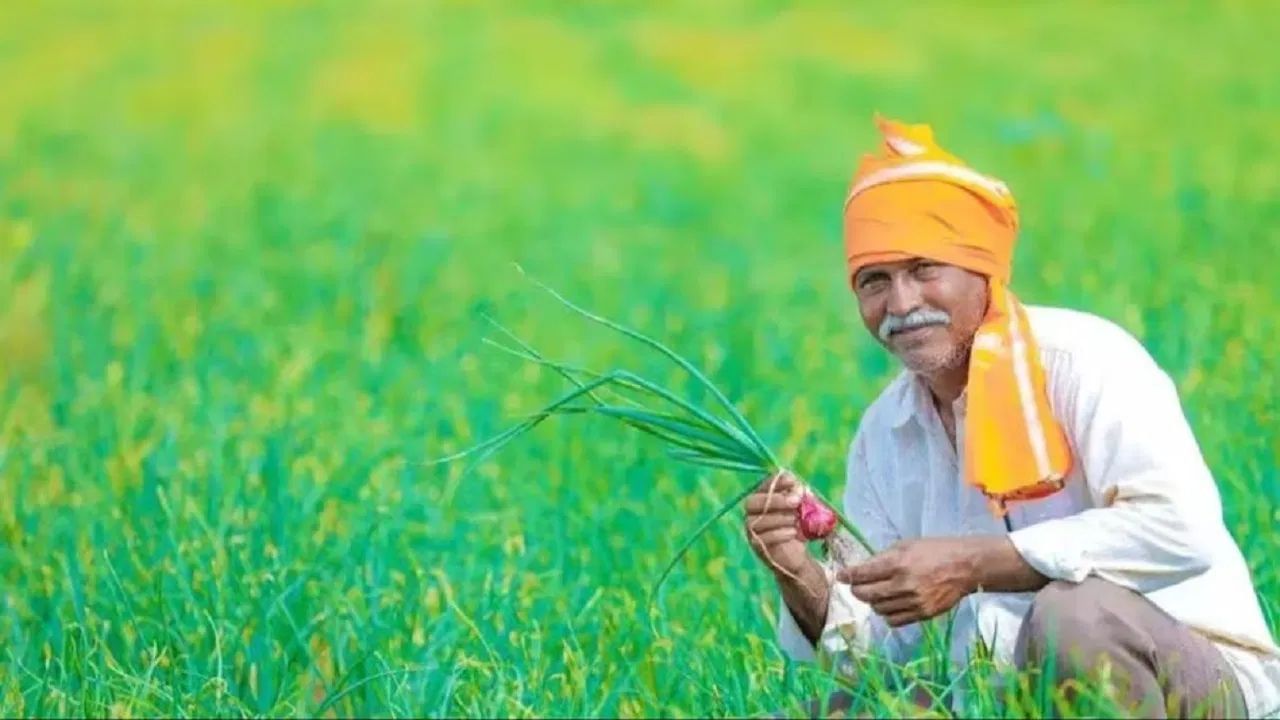 PM kisan yojana: পিএম কিষাণ যোজনার লাভ কি স্বামী-স্ত্রী একসঙ্গে পেতে পারেন? জানুন নিয়ম