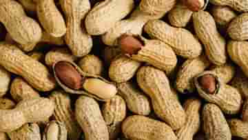 Effects of Consuming Peanuts: প্রতিদিন চিনাবাদাম পেটে যায়? শরীরে কী পাকাচ্ছে জানেন?