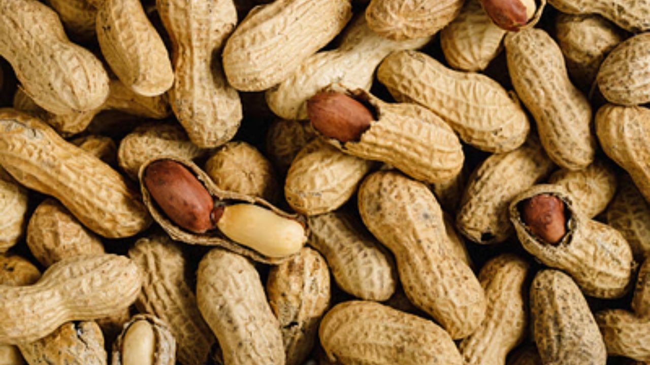 Effects of Consuming Peanuts: প্রতিদিন চিনাবাদাম পেটে যায়? শরীরে কী পাকাচ্ছে জানেন?