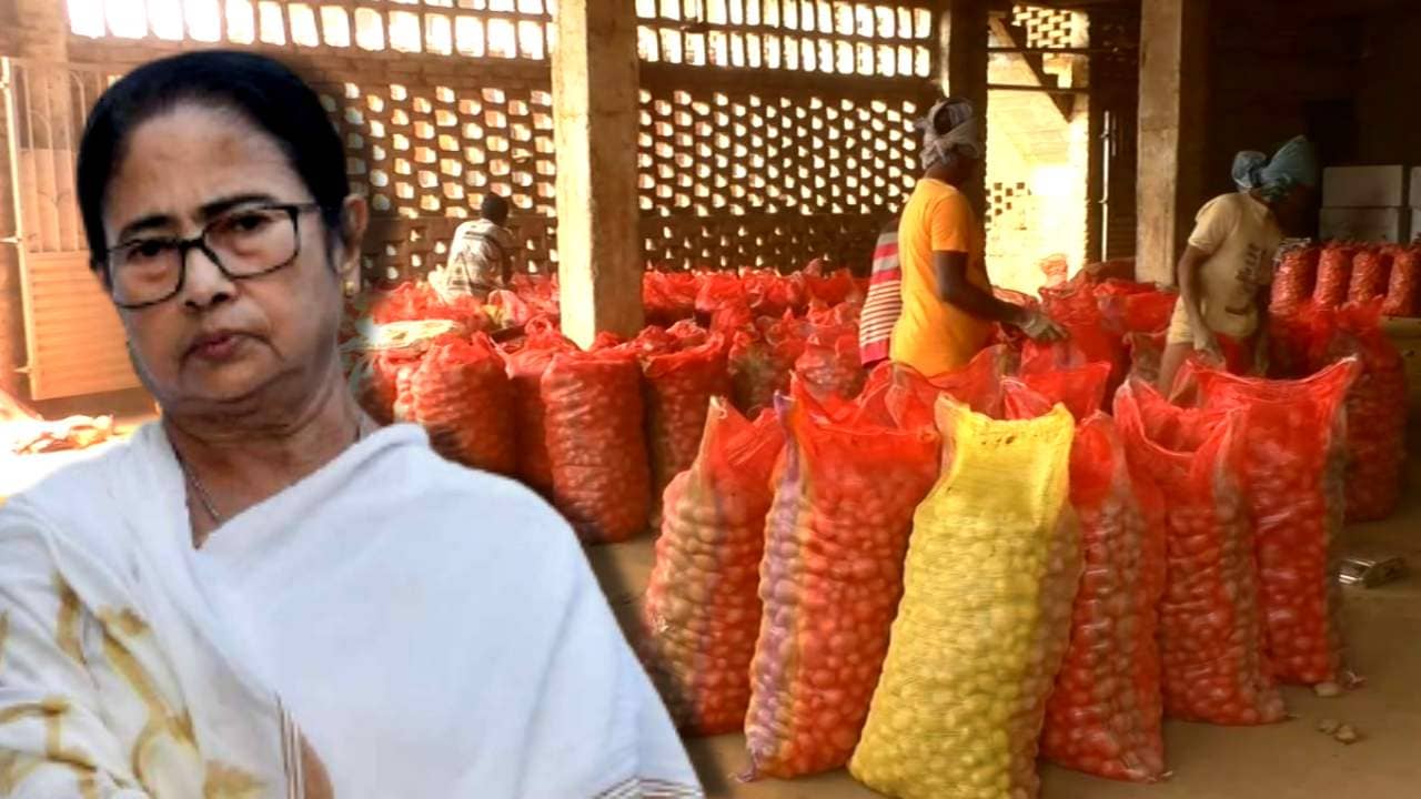 Potato Crisis: ‘কলকাতার মানুষকে কম দামে আলু খাওয়াতে চাইছেন’, হিমঘরের ‘স্টক ক্লিয়ার’ না হতে মমতার বিরুদ্ধে ক্ষোভ আলু ব্যবসায়ীদের